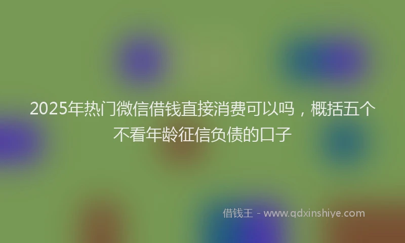 2025年热门微信借钱直接消费可以吗，概括五个不看年龄征信负债的口子