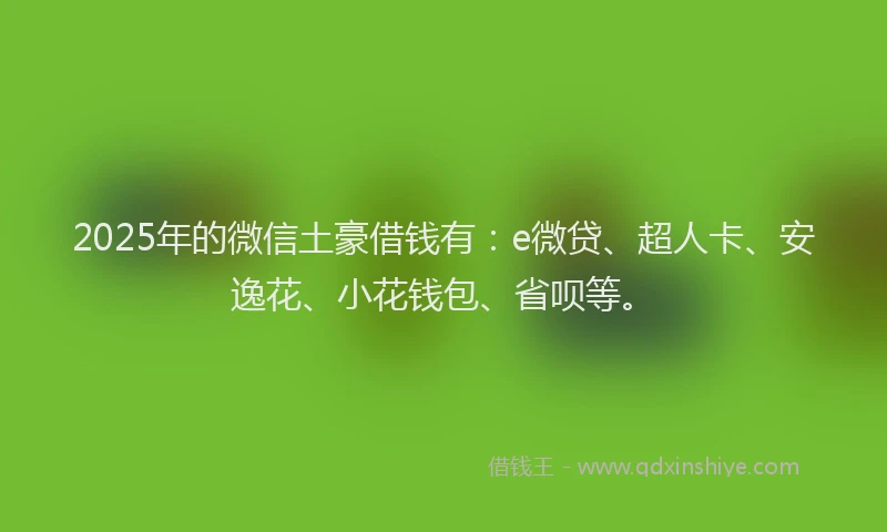 2025年的微信土豪借钱有：e微贷、超人卡、安逸花、小花钱包、省呗等。