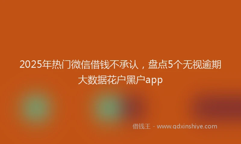 2025年热门微信借钱不承认，盘点5个无视逾期大数据花户黑户app