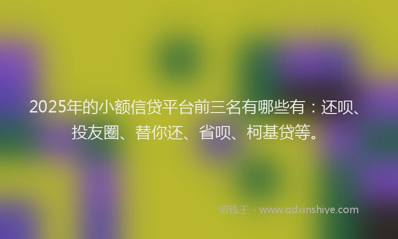 2025年的小额信贷平台前三名有哪些有：还呗、投友圈、替你还、省呗、柯基贷等。