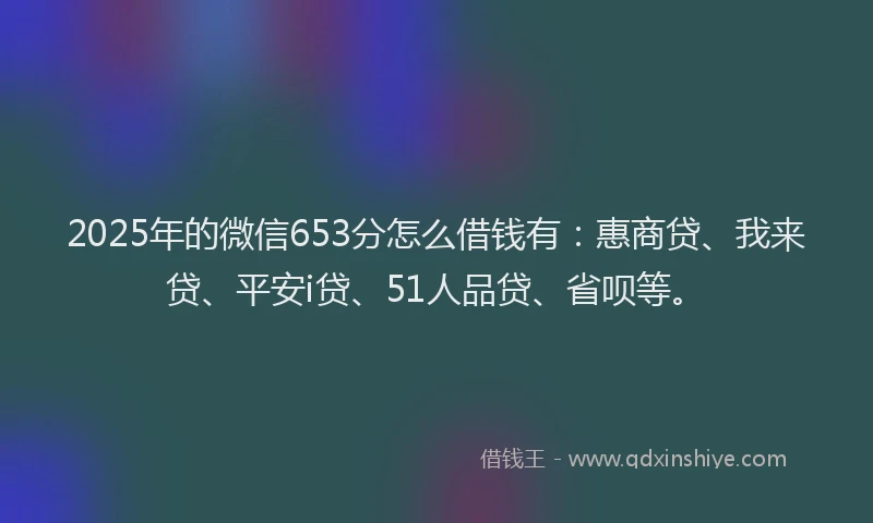 2025年的微信653分怎么借钱有：惠商贷、我来贷、平安i贷、51人品贷、省呗等。