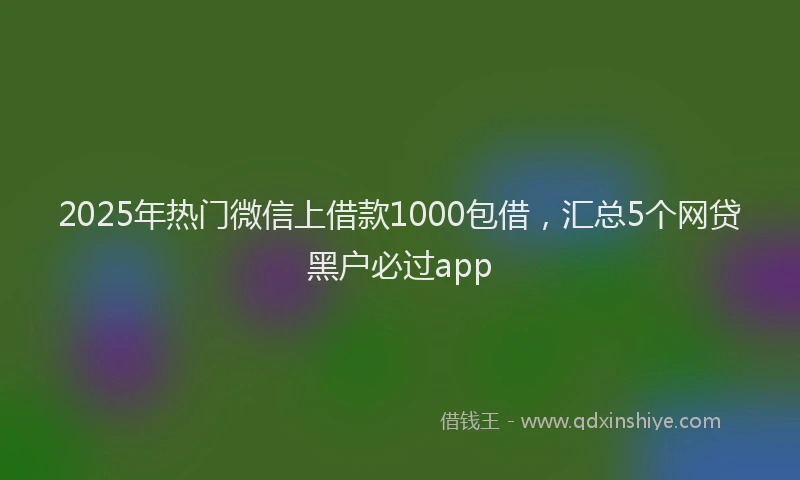2025年热门微信上借款1000包借，汇总5个网贷黑户必过app