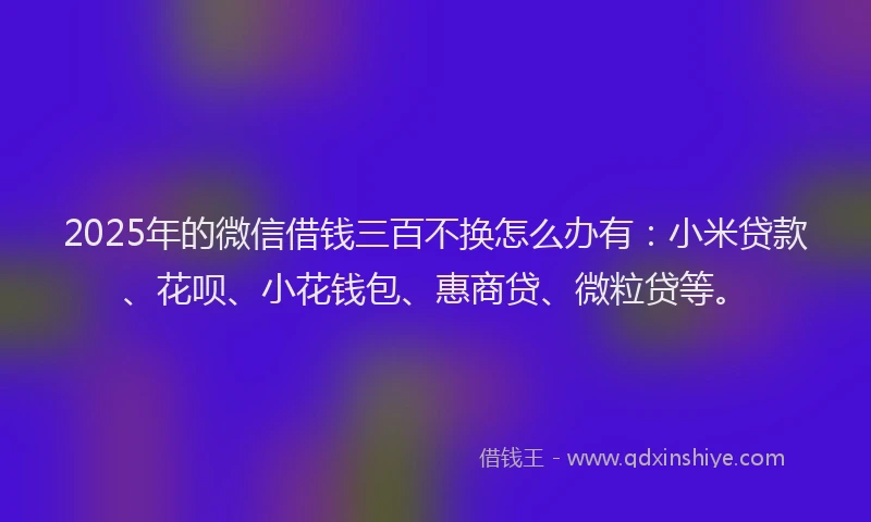 2025年的微信借钱三百不换怎么办有：小米贷款、花呗、小花钱包、惠商贷、微粒贷等。