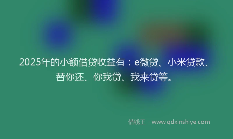 2025年的小额借贷收益有：e微贷、小米贷款、替你还、你我贷、我来贷等。