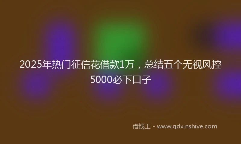 2025年热门征信花借款1万，总结五个无视风控5000必下口子