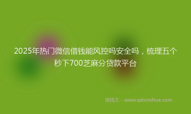 2025年热门微信借钱能风控吗安全吗，梳理五个秒下700芝麻分贷款平台