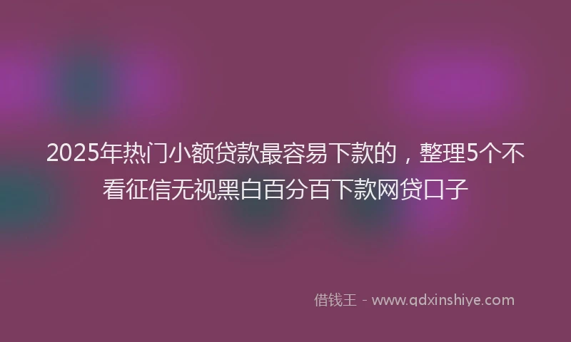 2025年热门小额贷款最容易下款的，整理5个不看征信无视黑白百分百下款网贷口子
