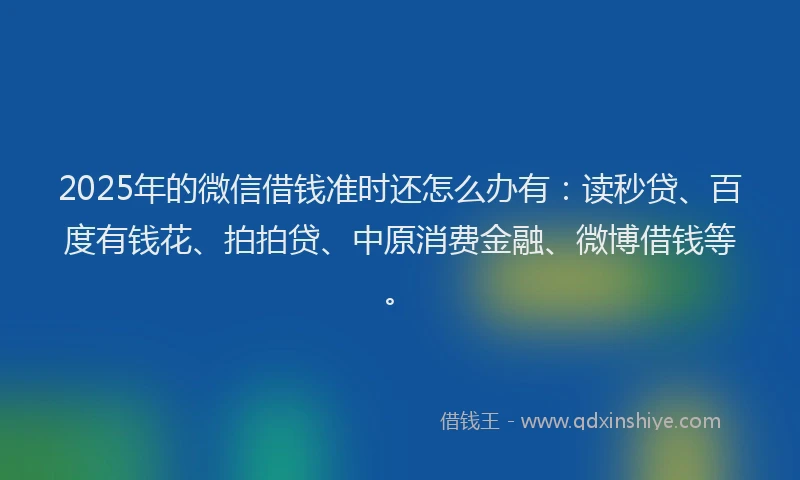 2025年的微信借钱准时还怎么办有：读秒贷、百度有钱花、拍拍贷、中原消费金融、微博借钱等。