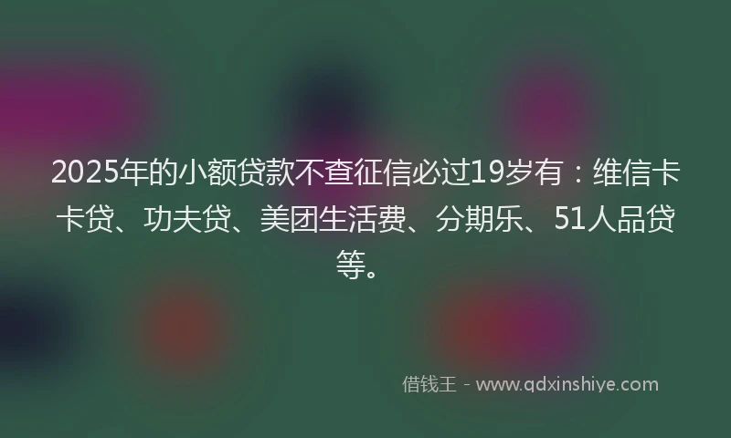 2025年的小额贷款不查征信必过19岁有：维信卡卡贷、功夫贷、美团生活费、分期乐、51人品贷等。