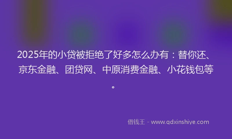 2025年的小贷被拒绝了好多怎么办有：替你还、京东金融、团贷网、中原消费金融、小花钱包等。