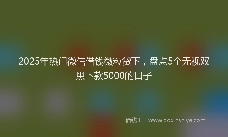 2025年热门微信借钱微粒贷下，盘点5个无视双黑下款5000的口子