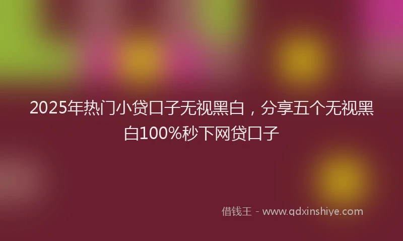 2025年热门小贷口子无视黑白，分享五个无视黑白100%秒下网贷口子