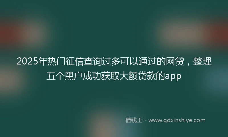 2025年热门征信查询过多可以通过的网贷，整理五个黑户成功获取大额贷款的app