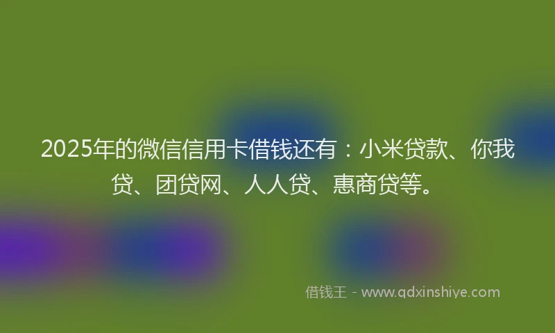 2025年的微信信用卡借钱还有：小米贷款、你我贷、团贷网、人人贷、惠商贷等。