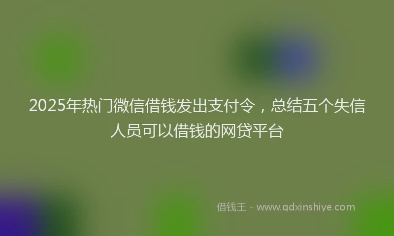 2025年热门微信借钱发出支付令，总结五个失信人员可以借钱的网贷平台