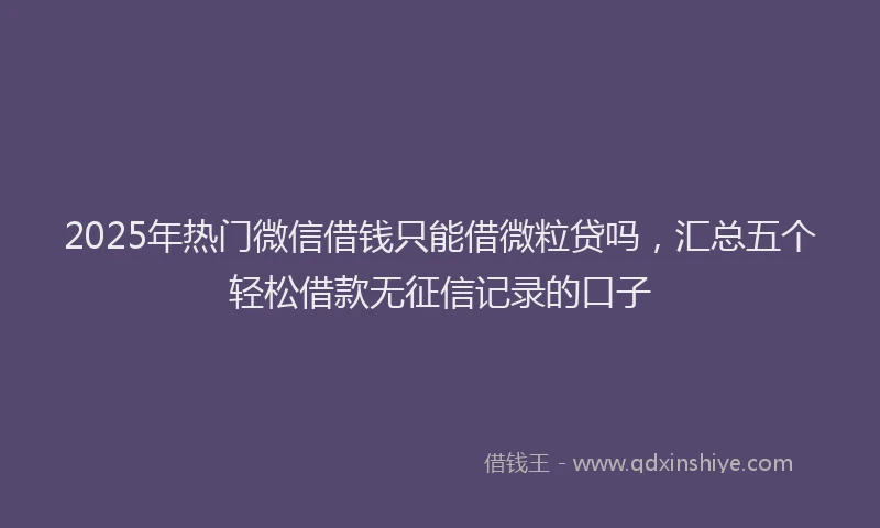 2025年热门微信借钱只能借微粒贷吗，汇总五个轻松借款无征信记录的口子