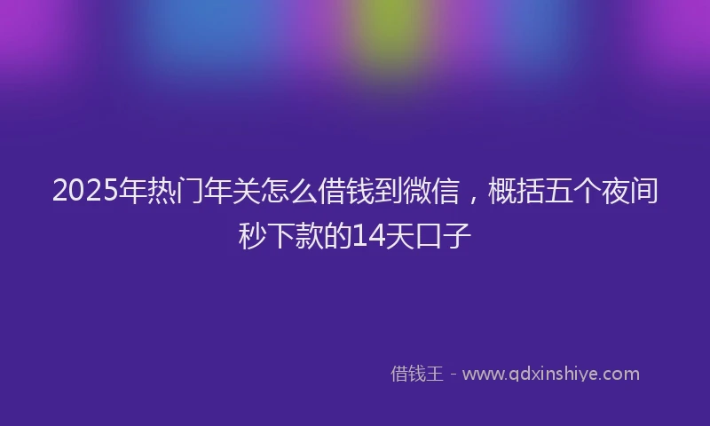 2025年热门年关怎么借钱到微信，概括五个夜间秒下款的14天口子