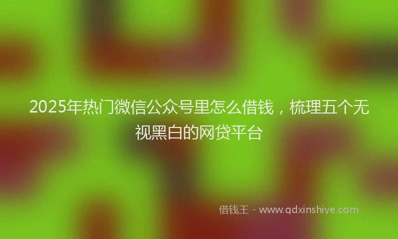 2025年热门微信公众号里怎么借钱，梳理五个无视黑白的网贷平台