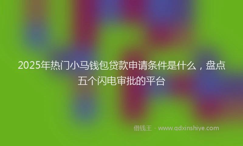 2025年热门小马钱包贷款申请条件是什么，盘点五个闪电审批的平台
