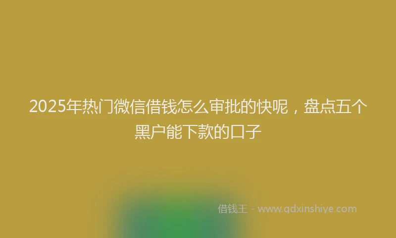2025年热门微信借钱怎么审批的快呢，盘点五个黑户能下款的口子