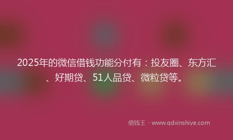 2025年的微信借钱功能分付有：投友圈、东方汇、好期贷、51人品贷、微粒贷等。