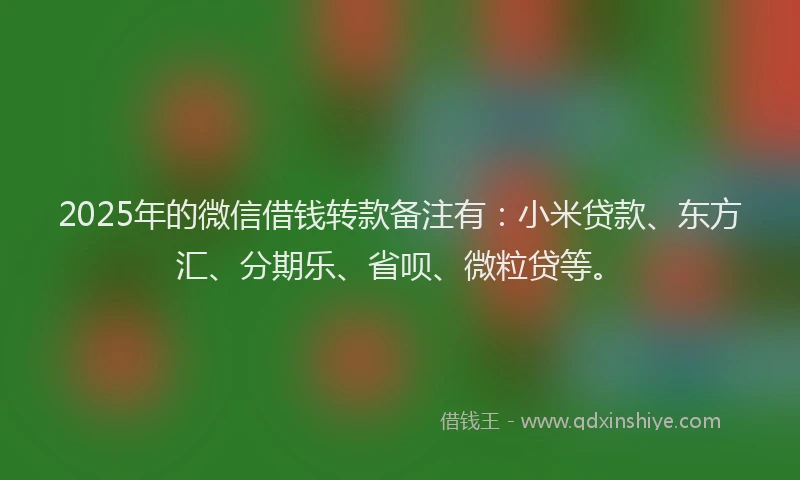2025年的微信借钱转款备注有：小米贷款、东方汇、分期乐、省呗、微粒贷等。