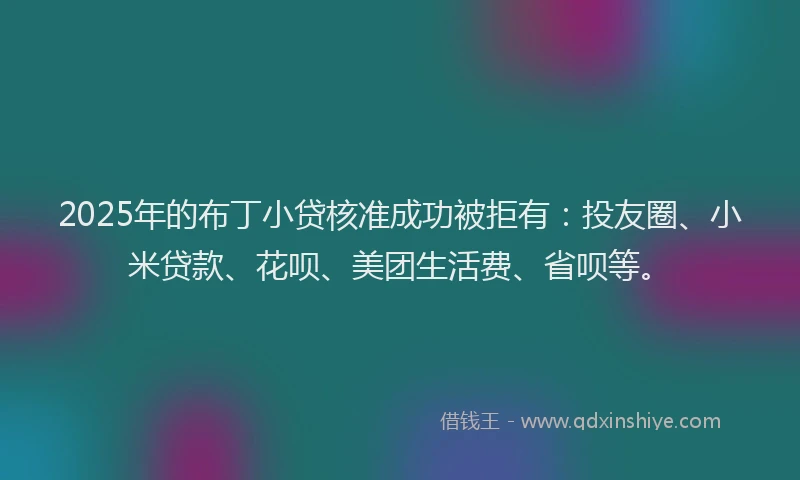 2025年的布丁小贷核准成功被拒有：投友圈、小米贷款、花呗、美团生活费、省呗等。