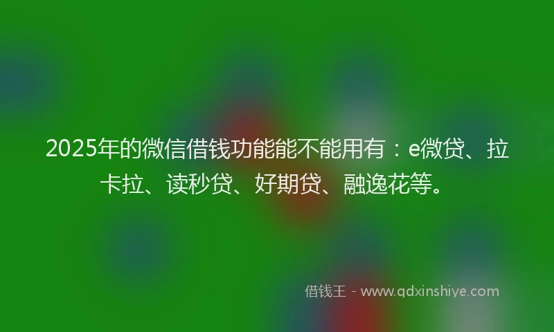 2025年的微信借钱功能能不能用有：e微贷、拉卡拉、读秒贷、好期贷、融逸花等。