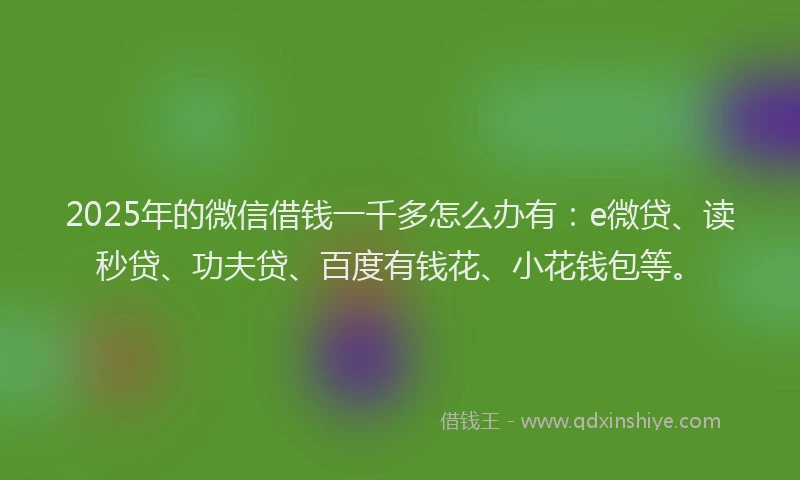 2025年的微信借钱一千多怎么办有：e微贷、读秒贷、功夫贷、百度有钱花、小花钱包等。