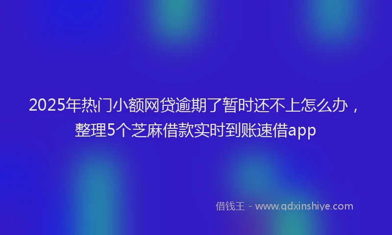 2025年热门小额网贷逾期了暂时还不上怎么办，整理5个芝麻借款实时到账速借app