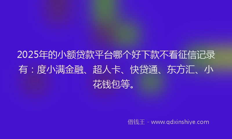 2025年的小额贷款平台哪个好下款不看征信记录有：度小满金融、超人卡、快贷通、东方汇、小花钱包等。
