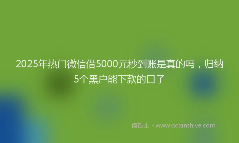 2025年热门微信借5000元秒到账是真的吗，归纳5个黑户能下款的口子