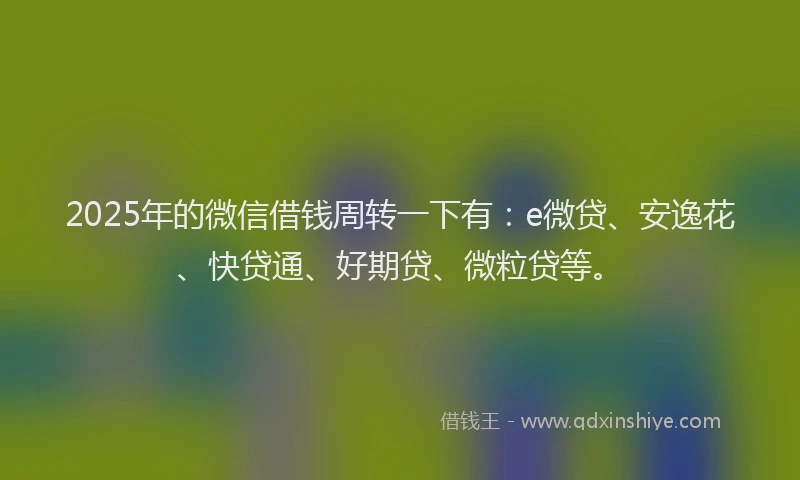 2025年的微信借钱周转一下有：e微贷、安逸花、快贷通、好期贷、微粒贷等。