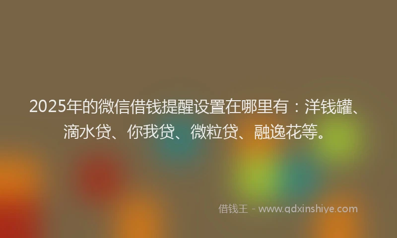 2025年的微信借钱提醒设置在哪里有：洋钱罐、滴水贷、你我贷、微粒贷、融逸花等。