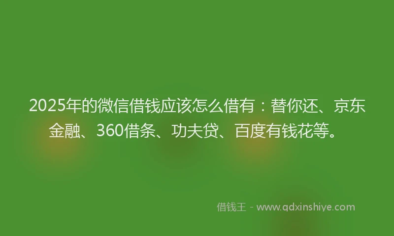 2025年的微信借钱应该怎么借有：替你还、京东金融、360借条、功夫贷、百度有钱花等。