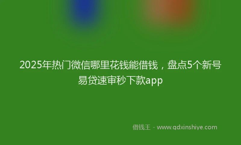 2025年热门微信哪里花钱能借钱，盘点5个新号易贷速审秒下款app