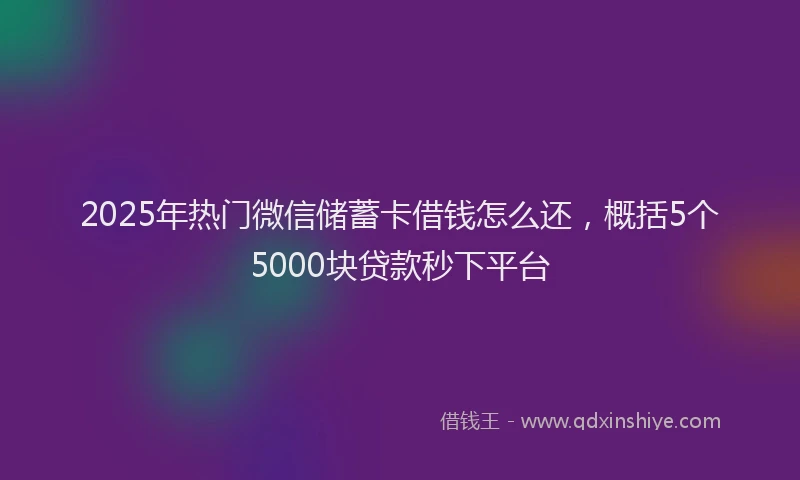 2025年热门微信储蓄卡借钱怎么还，概括5个5000块贷款秒下平台