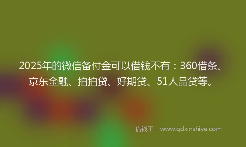 2025年的微信备付金可以借钱不有：360借条、京东金融、拍拍贷、好期贷、51人品贷等。