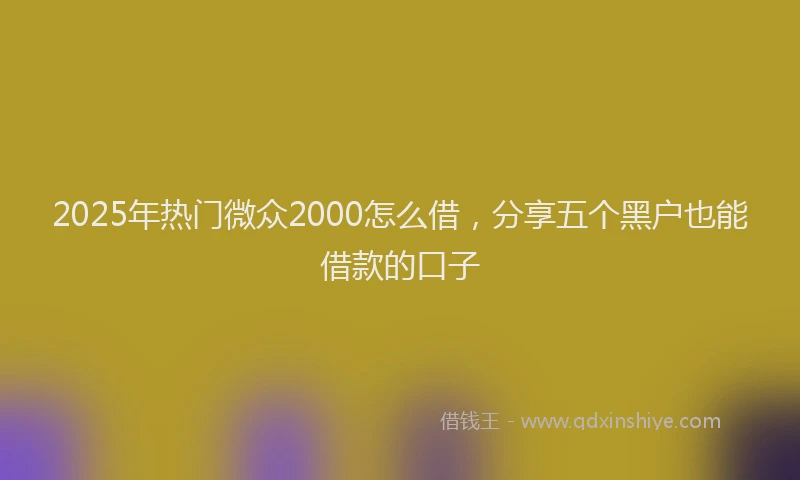 2025年热门微众2000怎么借，分享五个黑户也能借款的口子
