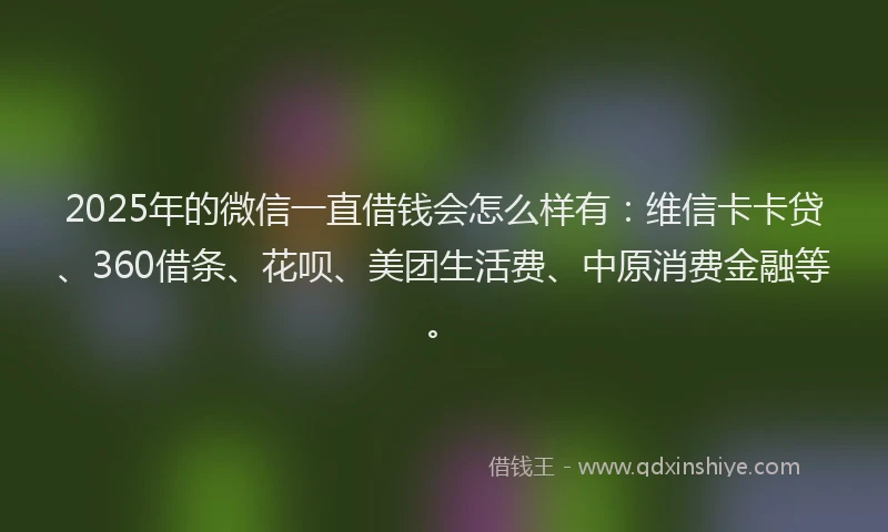 2025年的微信一直借钱会怎么样有：维信卡卡贷、360借条、花呗、美团生活费、中原消费金融等。