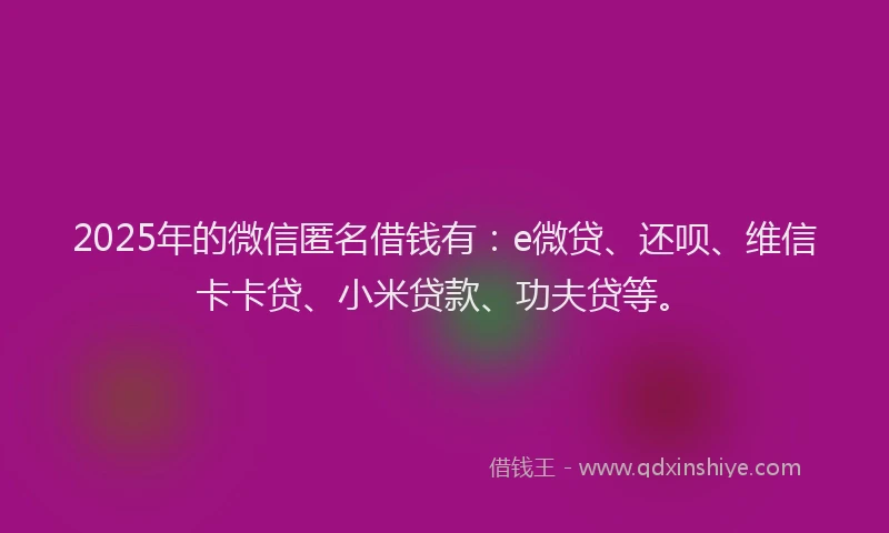 2025年的微信匿名借钱有：e微贷、还呗、维信卡卡贷、小米贷款、功夫贷等。