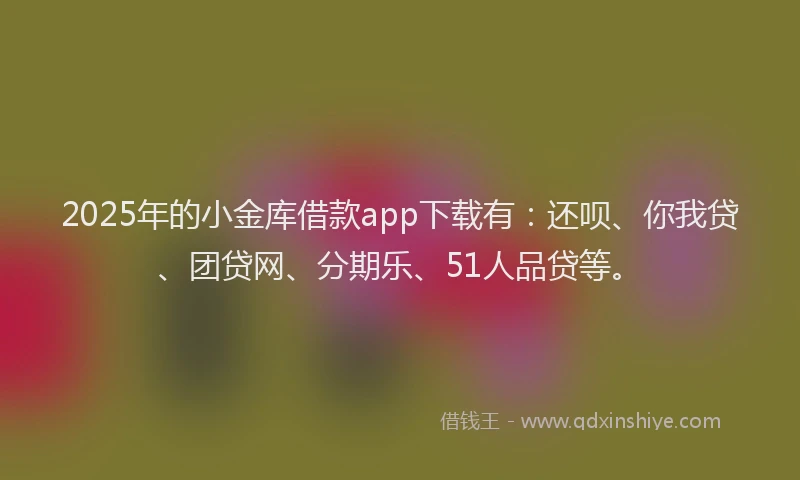 2025年的小金库借款app下载有：还呗、你我贷、团贷网、分期乐、51人品贷等。