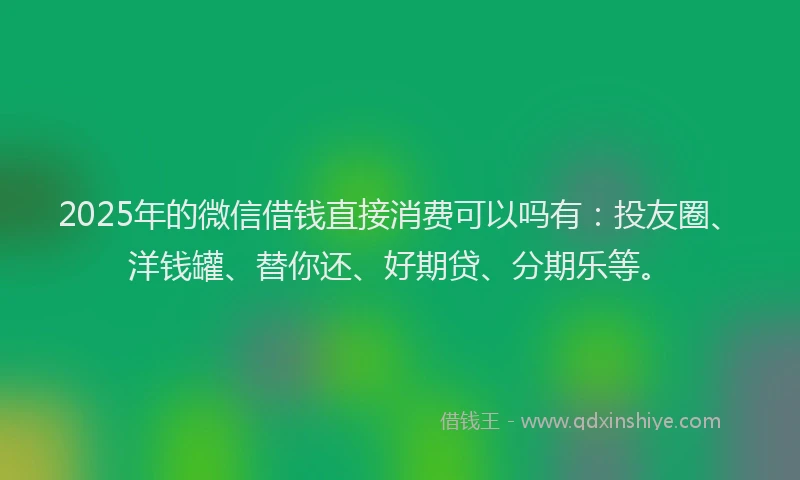 2025年的微信借钱直接消费可以吗有：投友圈、洋钱罐、替你还、好期贷、分期乐等。