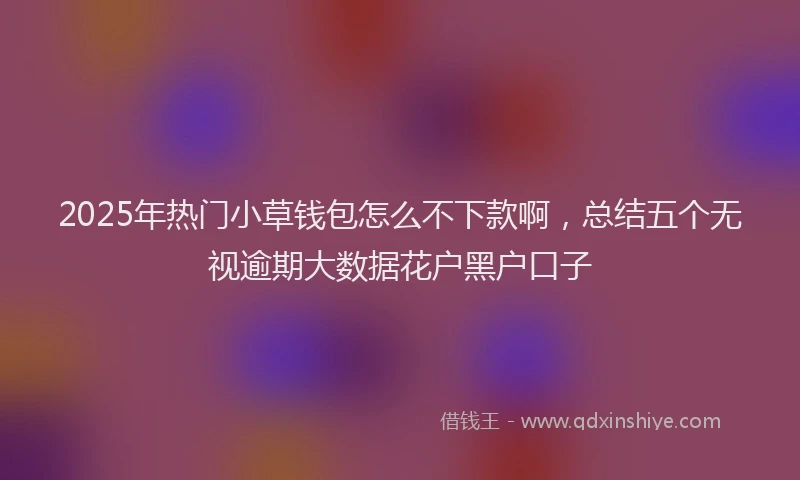 2025年热门小草钱包怎么不下款啊，总结五个无视逾期大数据花户黑户口子