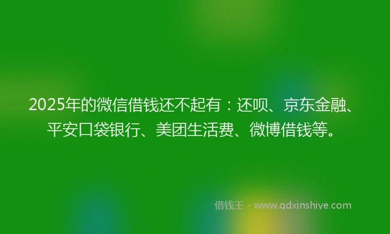 2025年的微信借钱还不起有：还呗、京东金融、平安口袋银行、美团生活费、微博借钱等。