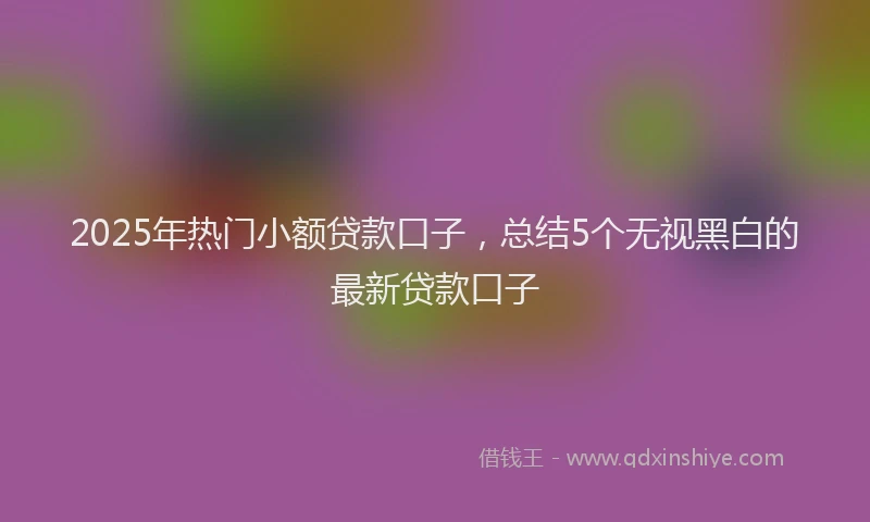 2025年热门小额贷款口子，总结5个无视黑白的最新贷款口子