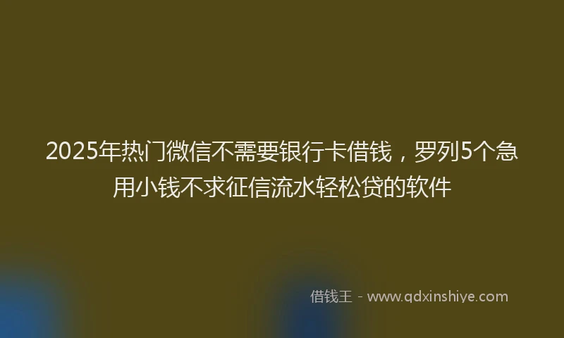 2025年热门微信不需要银行卡借钱，罗列5个急用小钱不求征信流水轻松贷的软件