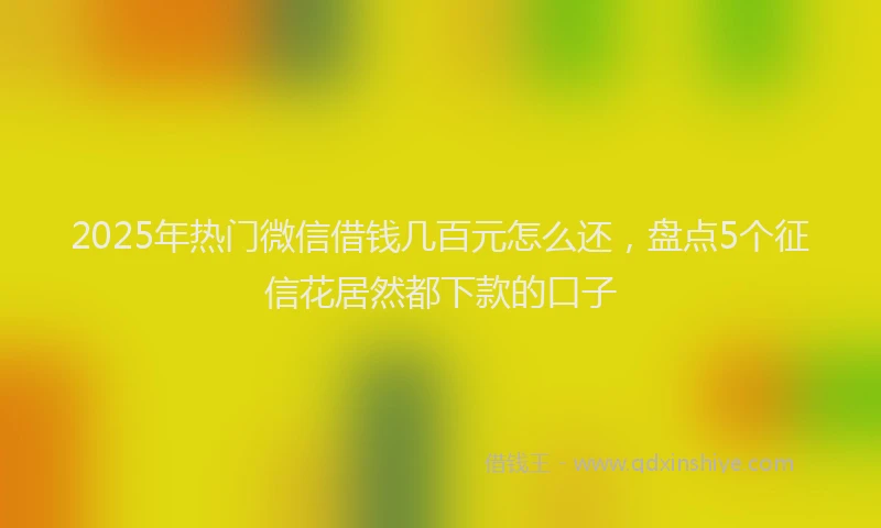 2025年热门微信借钱几百元怎么还，盘点5个征信花居然都下款的口子