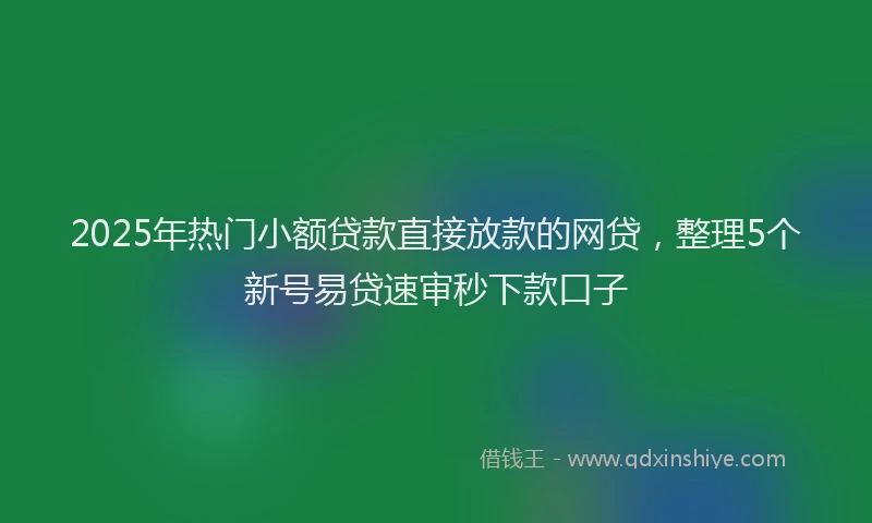 2025年热门小额贷款直接放款的网贷，整理5个新号易贷速审秒下款口子