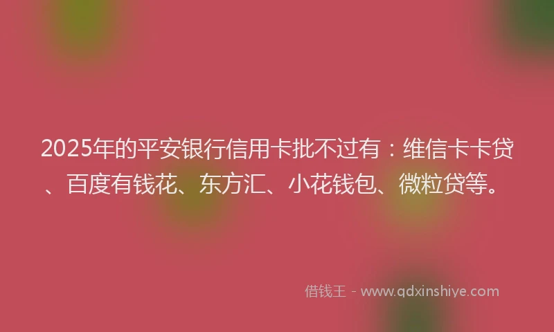 2025年的平安银行信用卡批不过有：维信卡卡贷、百度有钱花、东方汇、小花钱包、微粒贷等。
